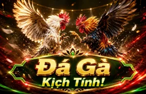 Giao diện sảnh đá gà DAGA